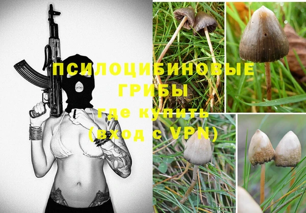 MESCALINE Лихославль