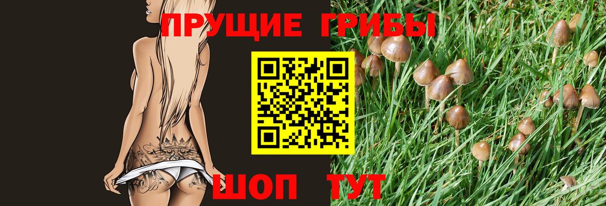 Углич  Галлюциногенные грибы Psilocybine cubensis  Вход с VPN 